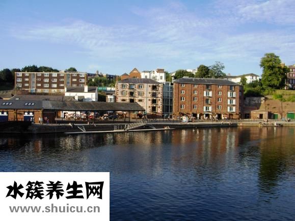 鹽酸埃克替尼片