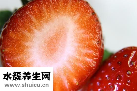 鮮榨橙汁要加水嗎