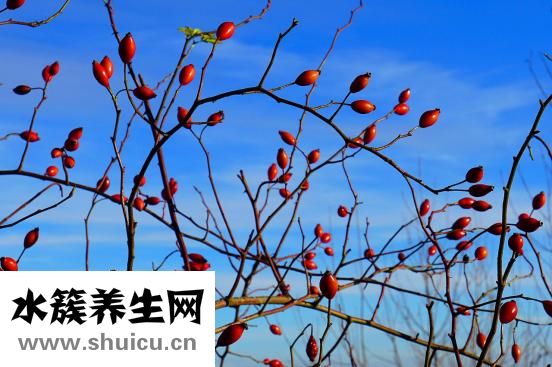 神經受損怎樣恢復