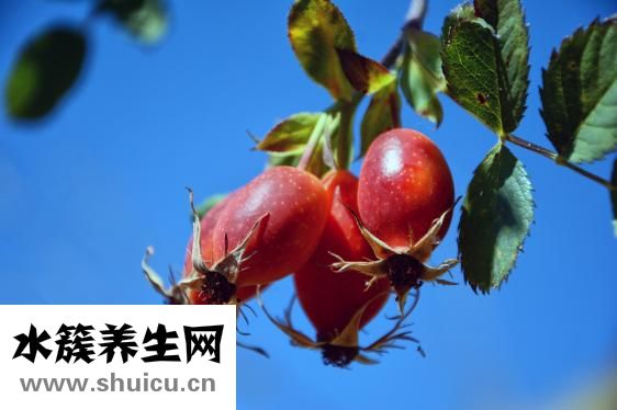 腿沒(méi)勁是什么原因