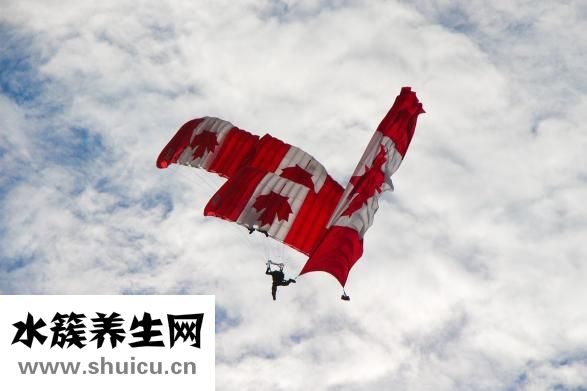 胰腺炎吃什么食物好