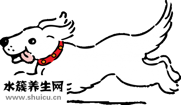 舌苔發黃怎么辦