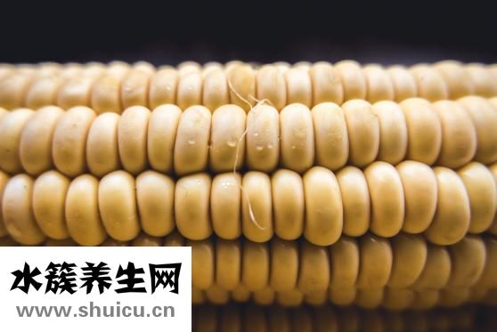 玉米煮多長時間