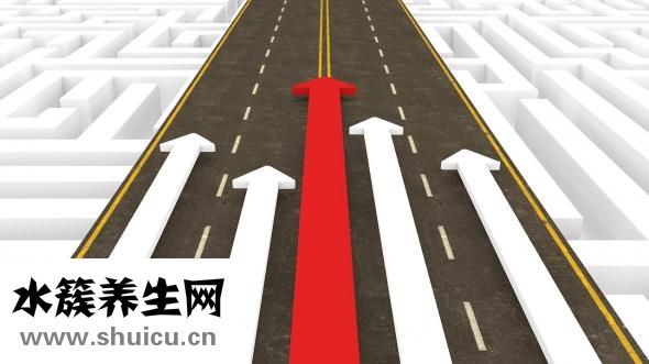 生酮飲食可以吃什么