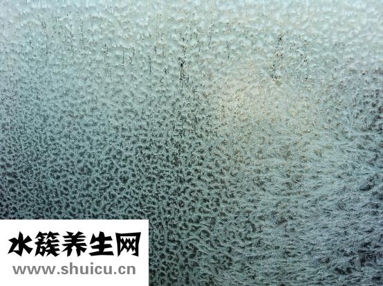 透明質酸是什么