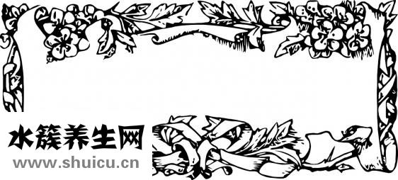 膝關(guān)節(jié)僵硬