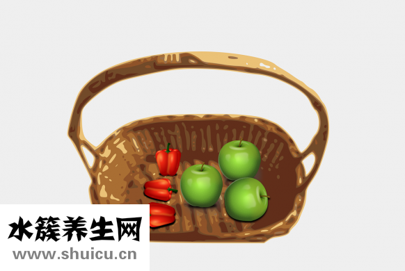 生酮飲食可以吃什么