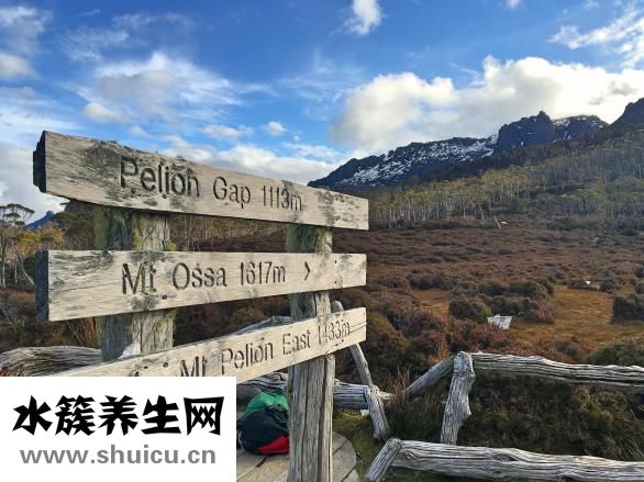 陰離子間隙偏高