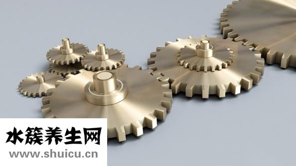 鴨血粉絲湯怎么做