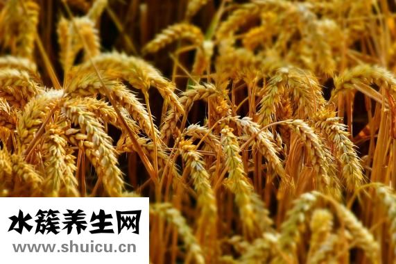 玉米畝產(chǎn)量