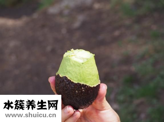 生酮飲食可以吃什么