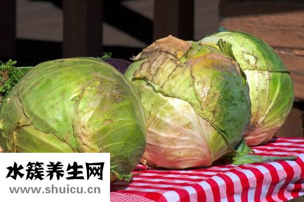 水煮白菜減肥方法