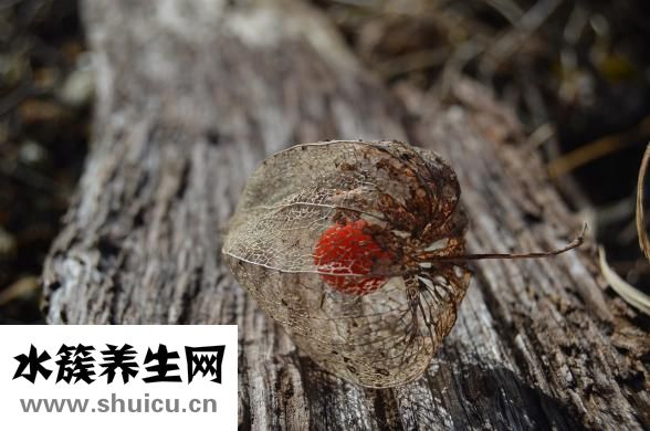 胃腸神經官能癥