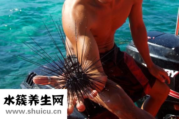 男性早泄怎么辦