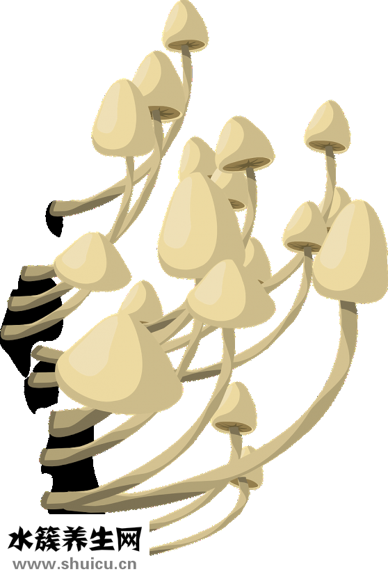 舌苔厚白怎么解決