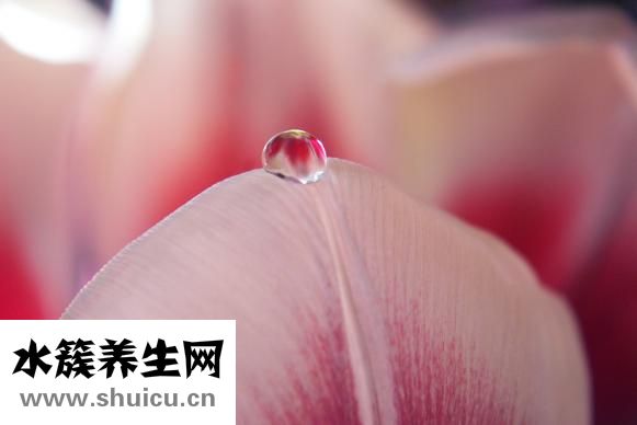 血同型半胱氨酸