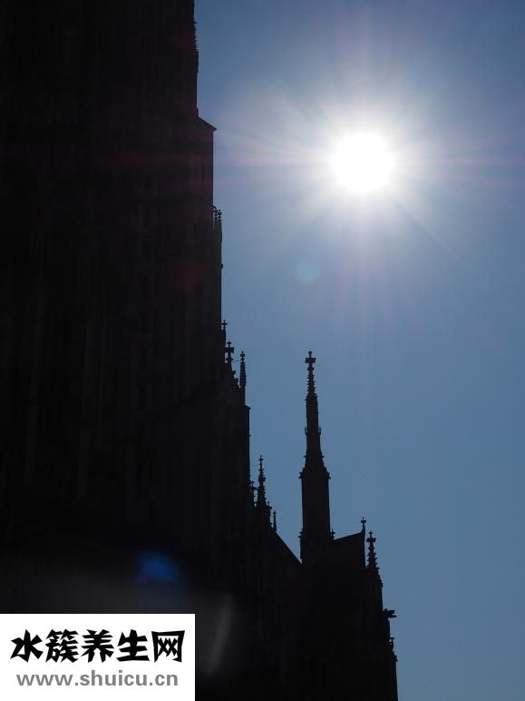 上火能喝牛奶么