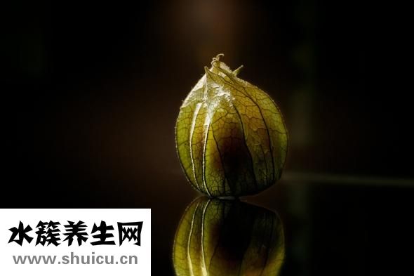 西蘭花怎么焯水