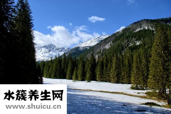 陰離子間隙偏低