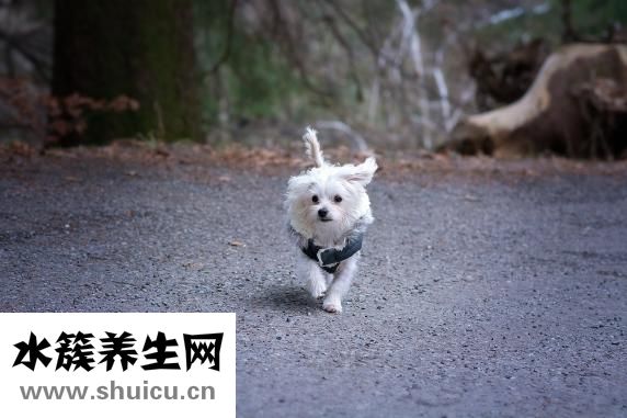 甲醛中毒怎么辦