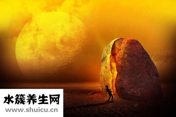 腎臟的位置圖片