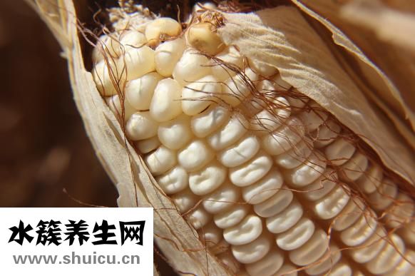 蝦仁炒玉米的做法