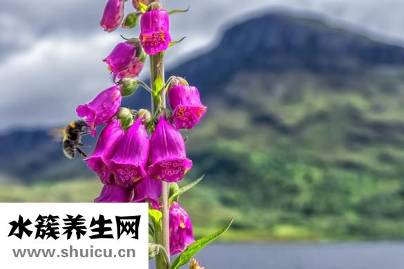 胃脹胃痛是怎么回事