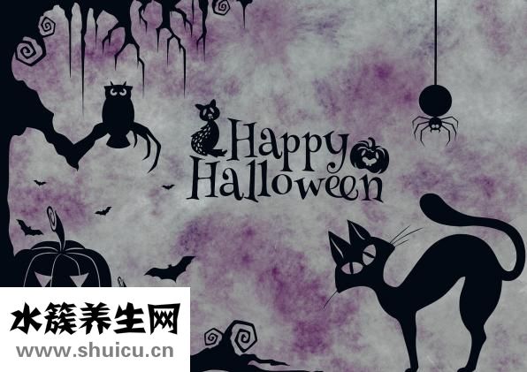 脛神經損傷的癥狀