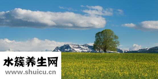 雪綿豆沙的做法