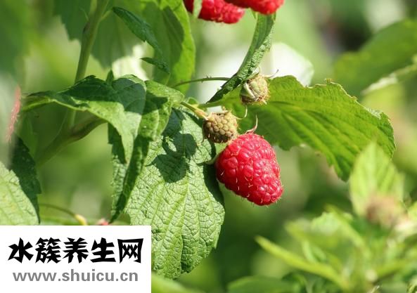 退低燒的小妙招