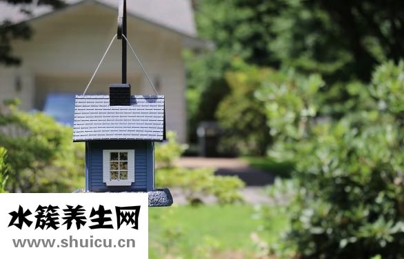 香菇煮多久能熟