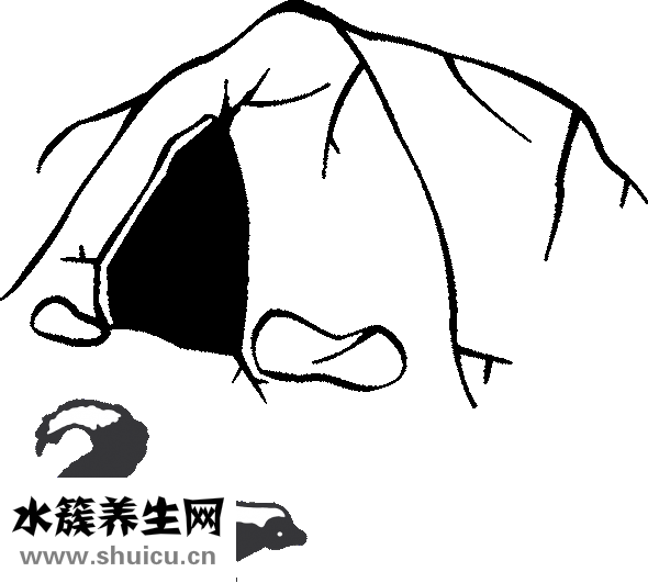 怎樣學習做奶茶