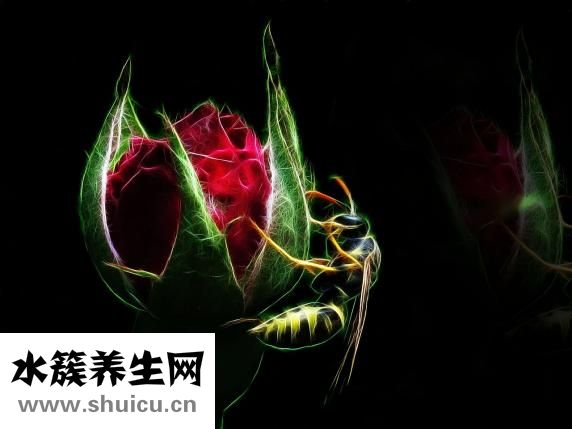 神經血管性頭痛