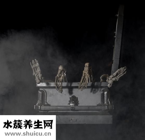 引體向上能長高嗎