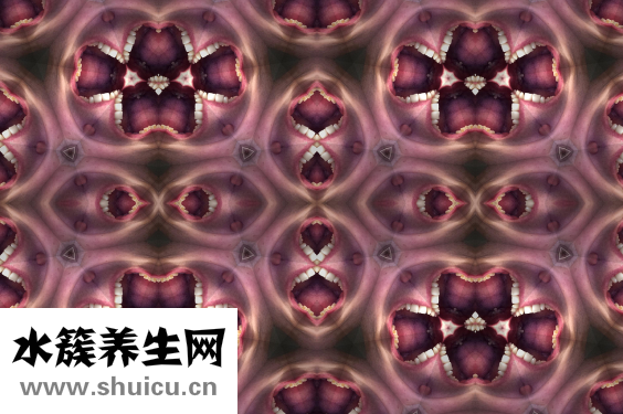 牙齒松動能修復