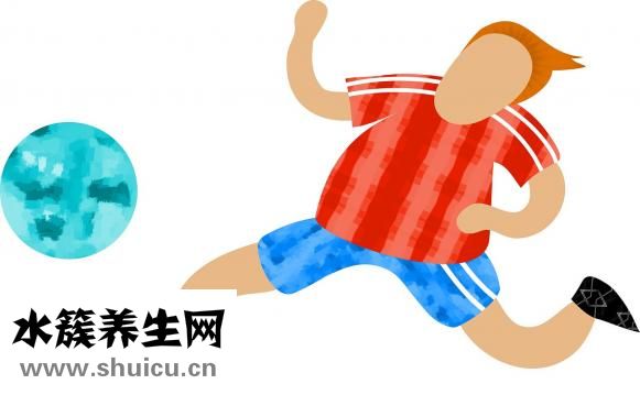 苦菊的功效與作用