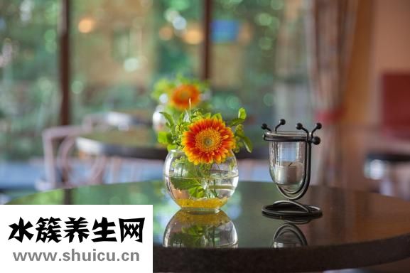 血管狹窄怎么辦