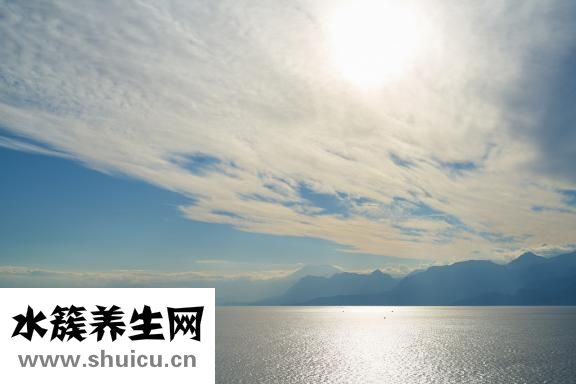 檢查心臟掛什么科