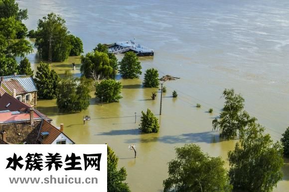 砂仁孕婦可以吃嗎