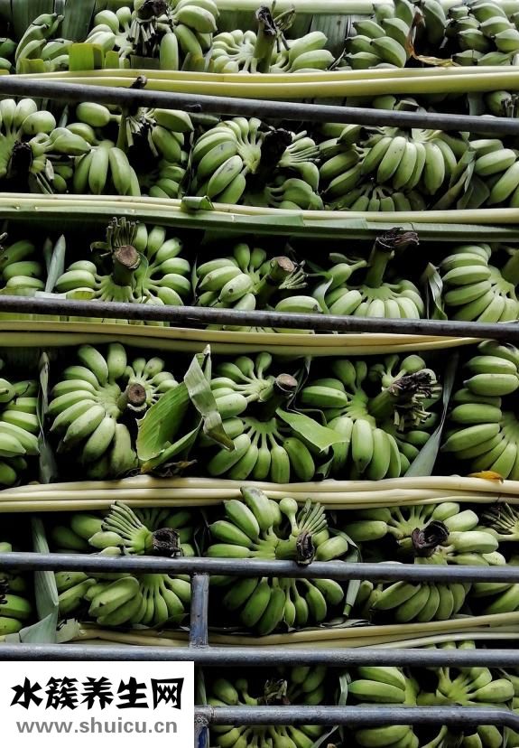 香蕉水有毒嗎