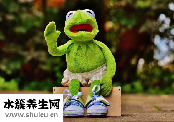 痛風(fēng)可以吃菠菜嗎