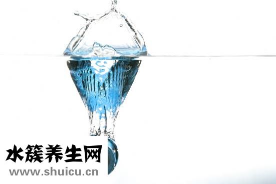 橙皮和陳皮一樣嗎