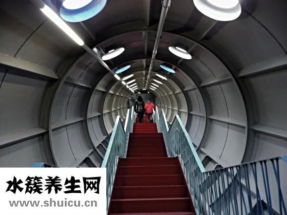 怎樣學習做奶茶