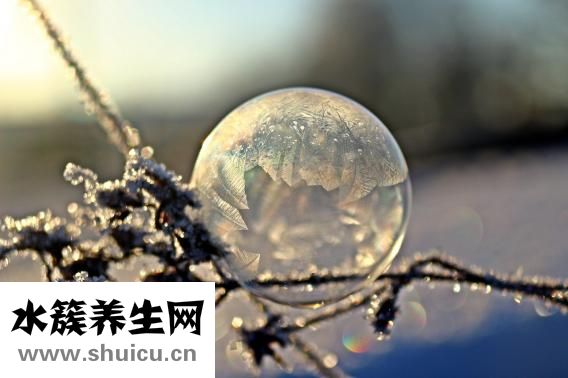 果丹皮是什么做的