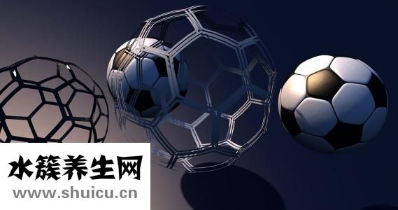 香菇煮多久能熟