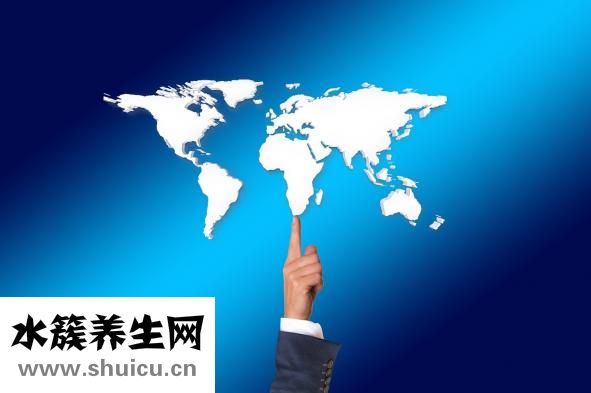 生茶好還是熟茶好