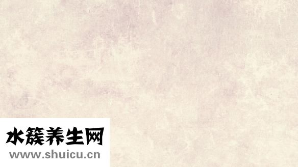 淫羊藿的藥用價值