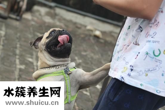 舌頭大是怎么回事