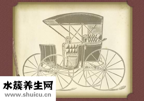 沙門氏菌感染癥狀