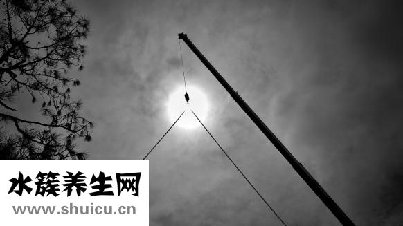 手掌經(jīng)絡(luò)圖